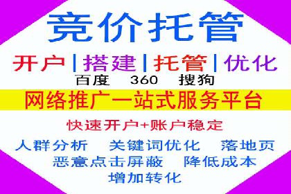案例分享：SEM推广助力电商快速崛起